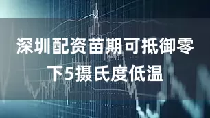 深圳配资苗期可抵御零下5摄氏度低温