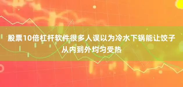 股票10倍杠杆软件很多人误以为冷水下锅能让饺子从内到外均匀受热